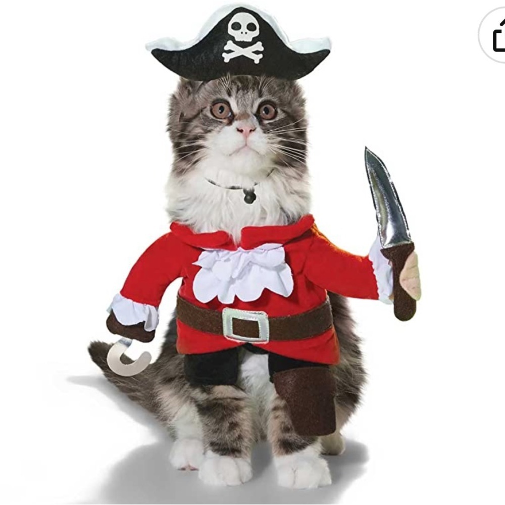 NWT Bootique Pirate cat costume S/M